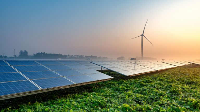 Einspeiseabrechnung für Direktvermarkter: meingrünstrom setzt auf Solarize