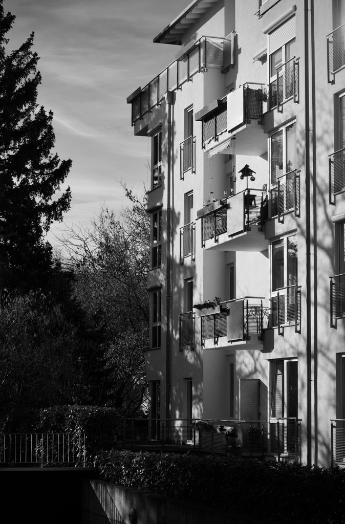 Monochrome image of an apartment building with shadows and trees.